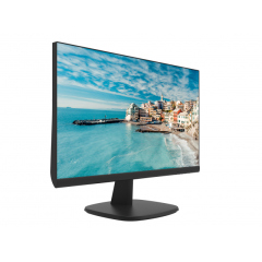 Hikvision DS-D5022FN-C