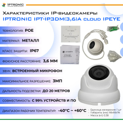 IP-камера  IPTRONIC IPT-IP3DM(3,6)A cloud IPEYE + подарочная карта IPEYE 500 руб