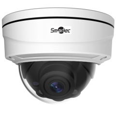 Купольные IP-камеры Smartec STC-IPM5512A/1 Estima