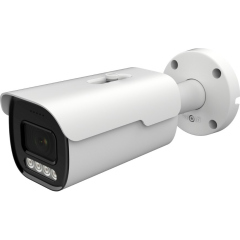 Уличные IP-камеры AltCam ICV84IR