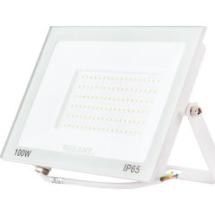 Прожектор светодиодный СДО 100Вт 8000Лм 5000K нейтральный свет, белый корпус REXANT (605-027)