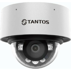 Купольные IP-камеры Tantos TSi-Vn253F