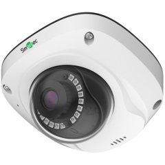 Купольные IP-камеры Smartec STC-IPM5507A/1