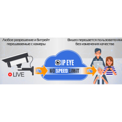 Лицензия на облачный сервис IPEYE Lite