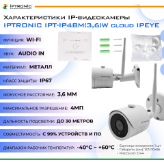 IP-камера  IPTRONIC IPT-IP4BM(3,6)W cloud IPEYE + подарочная карта IPEYE 500 руб